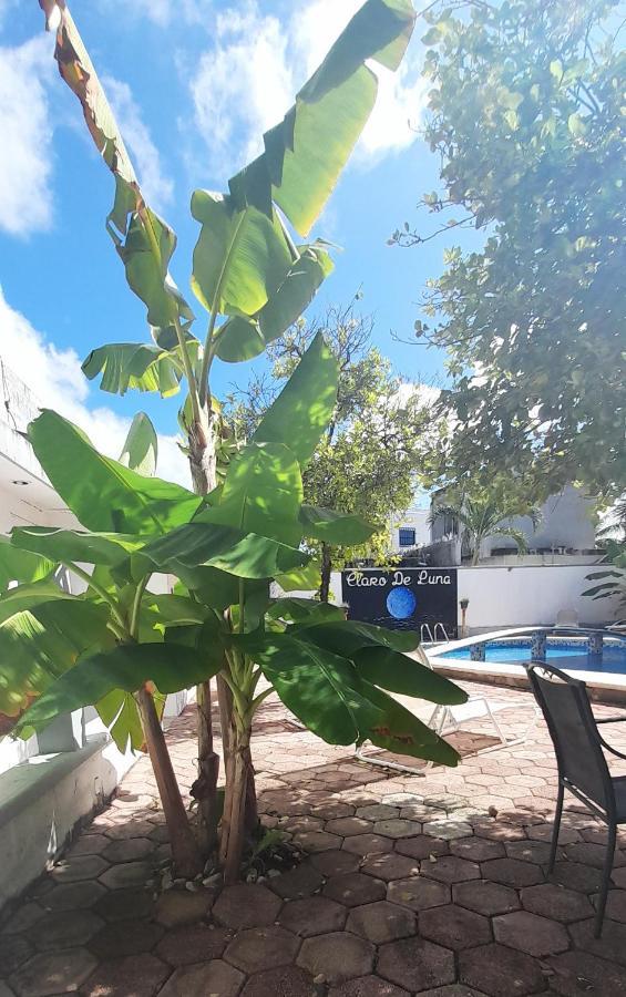 Claro De Luna Aparthotel Playa del Carmen Eksteriør bilde